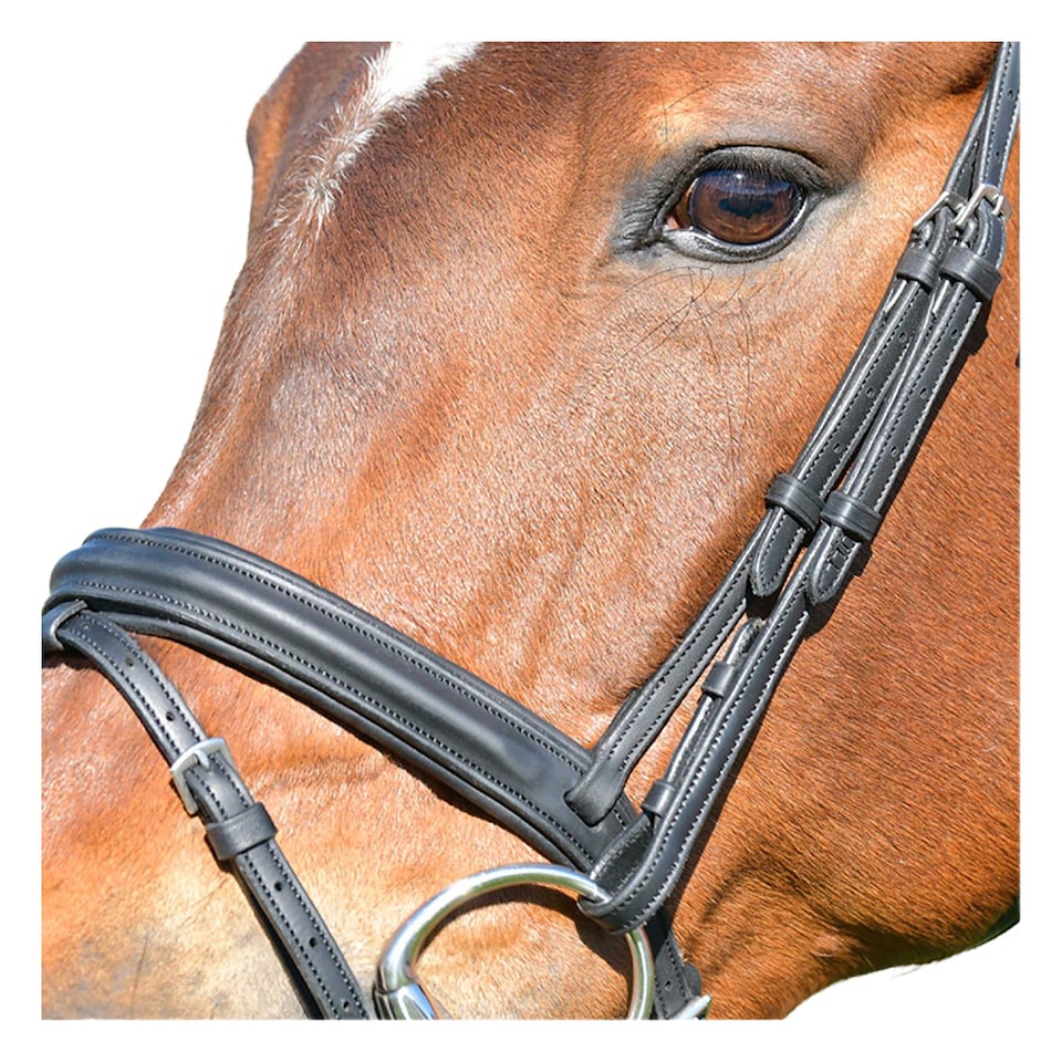 image 1 of Collegiate Comfitec Leather Horse Bridle | Black | Black | Warmblood | 1