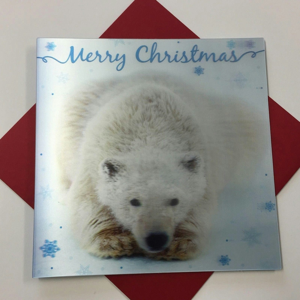 image 1 of 3D Holographic Up Close POLAR BEAR Merry Christmas Greeting Card