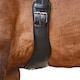 image 2 of Collegiate Anatomic Girth - Black - 120cm/48in