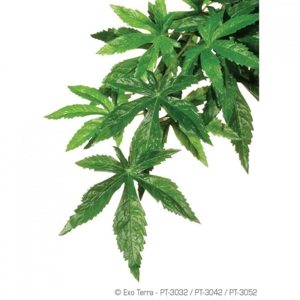 Exo Terra Silk Abutilon Plant - Large