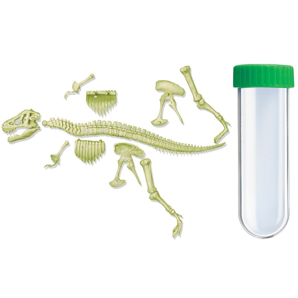 image 1 of Kidzlabs - Glowing T-Rex Skeleton