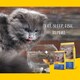 image 4 of Josera Marinesse complete adult cat food | Grain-free | Single animal protein | Salmon | Hypoallergenic | Sensitive | Anti-Hairball | Urinary pH | 6x2kg