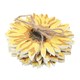 image 3 of Something Different Sunflower Coasters - Yellow - One Size