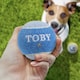 image 2 of Pre-Personalised Dog Ball Gift Pack 2pcs Blue Toby