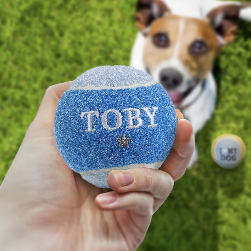 image 1 of Pre-Personalised Dog Ball Gift Pack 2pcs Blue Toby