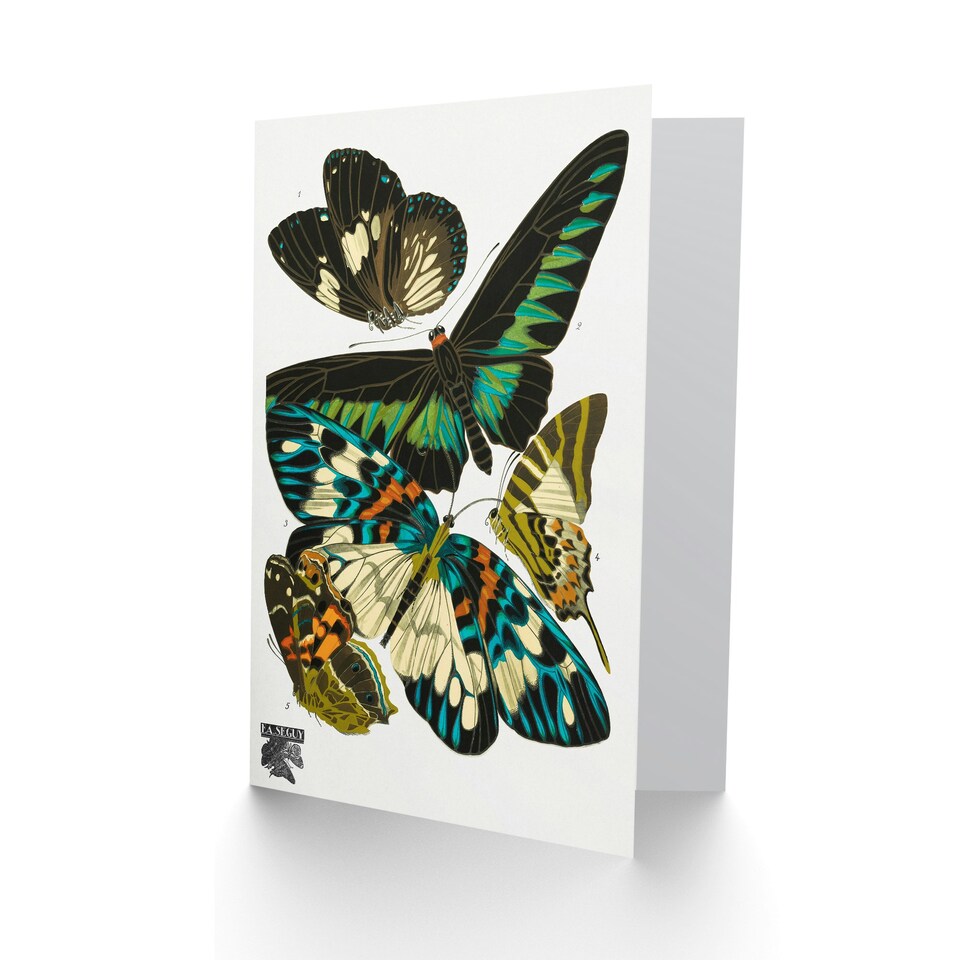 image 1 of Eugene Seguy Art Card Vintage Butterflies Green Blue
