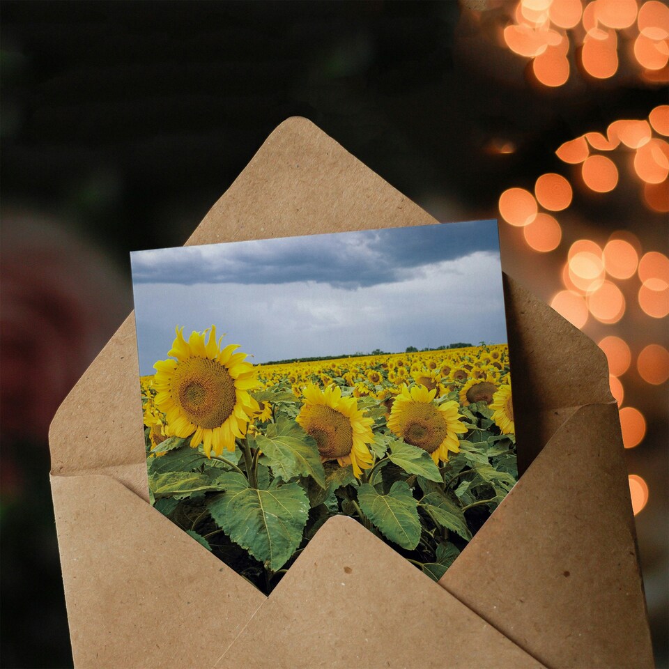 image 1 of Carol M Highsmith Art Card A Kansas Sunflower Field Up Close