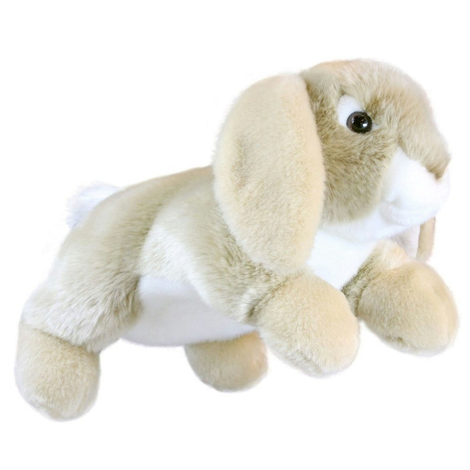 image 1 of Rabbit - Lop-Eared - Full-Bodied