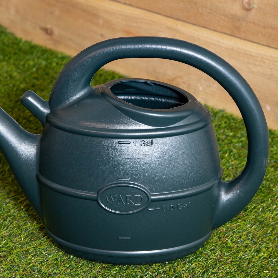 image 1 of 5L Garden Patio Ward Watering Can with Rose in Green