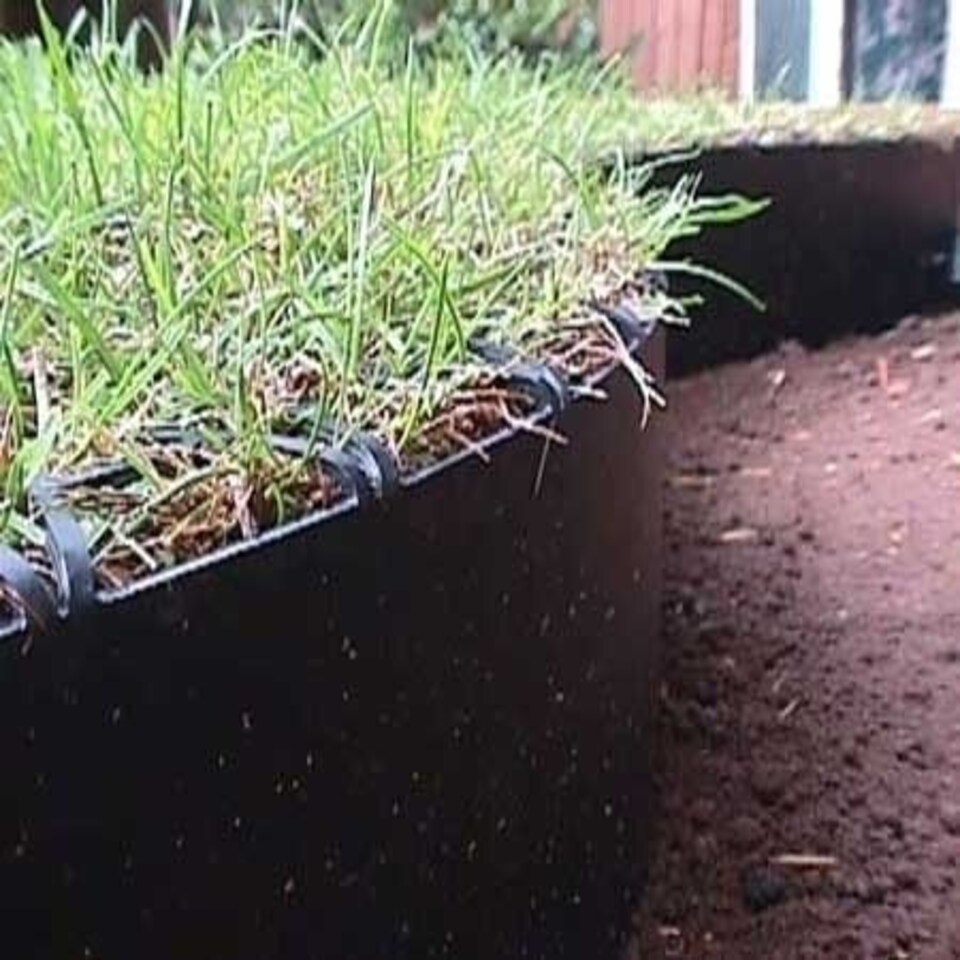 image 1 of 10m Easy Lawn Edging in Black Black