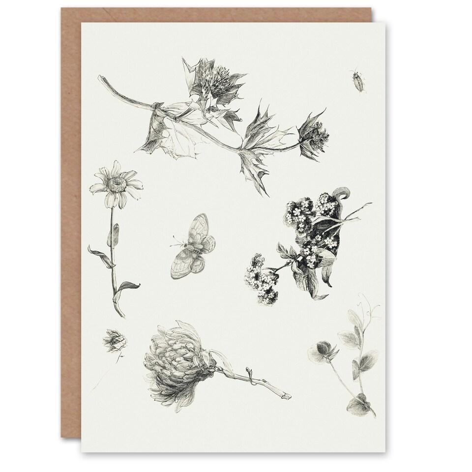 image 1 of Theo van Hoytema Art Card Flowers Leaves and Butterfly Drawing