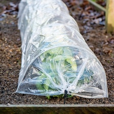 Garden Gear PE Greenhouse Tunnel x 3 | Clear | 3