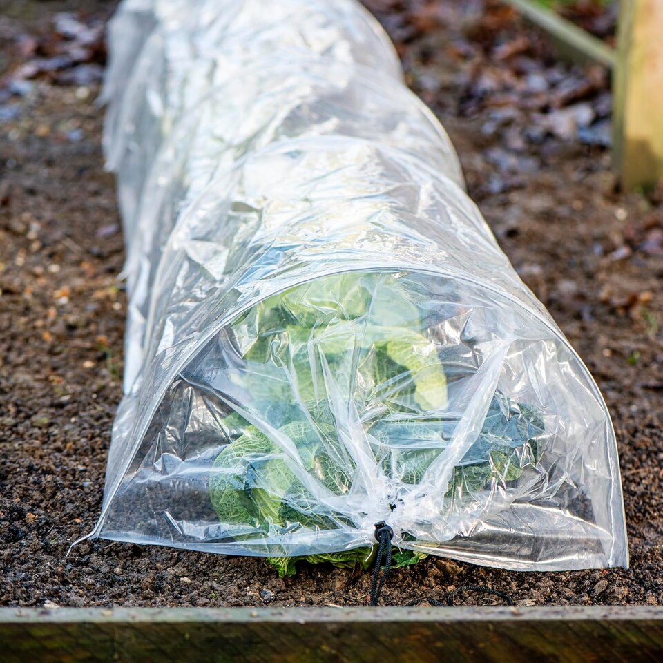 image 1 of Garden Gear PE Greenhouse Tunnel x 3 | Clear | 3