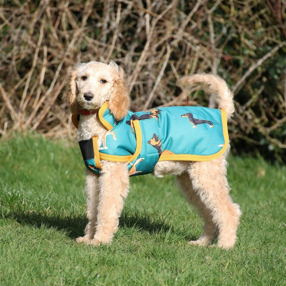 Gallop Equestrian Dogs Print Dog Coat Blue | XXS