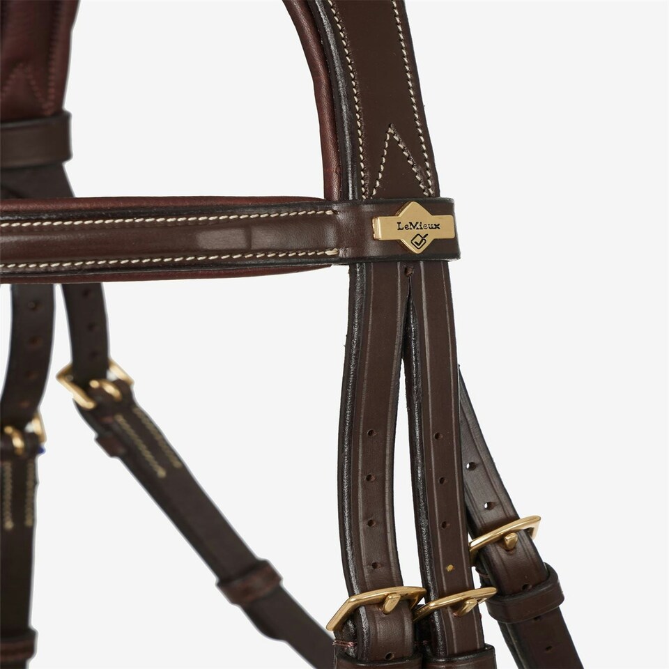 image 1 of LeMieux Competition Flash Bridle Black | X-Full