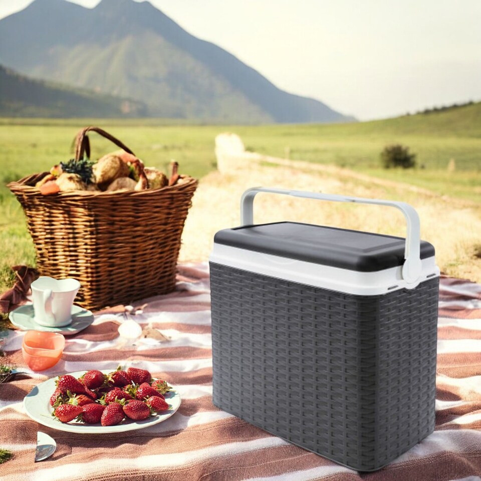 image 1 of 24L Rattan Design Cooler Storage Boxes | Black | 1