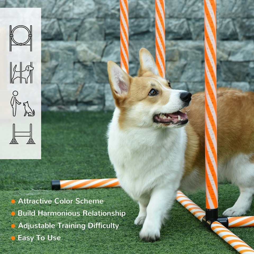 image 1 of PawHut Pet Agility Training Equipment Dog Jump Hurdle Bar Obedience Training Set