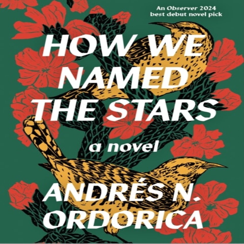 How We Named The Stars