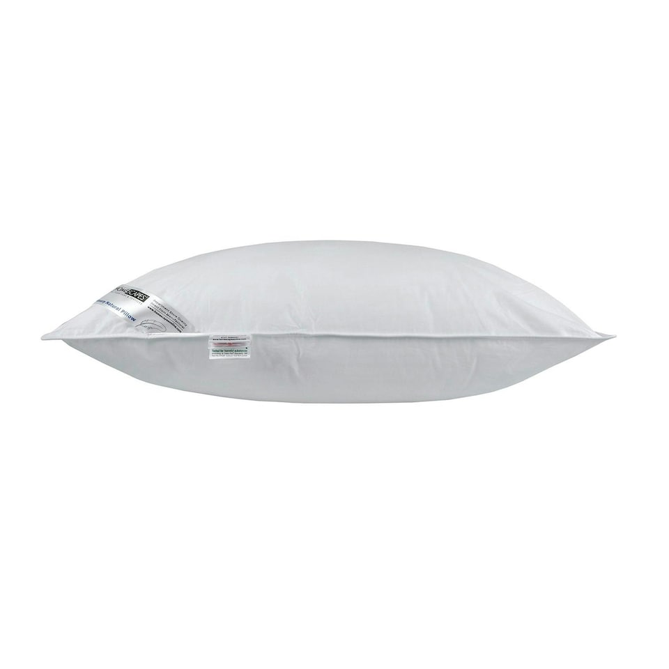 image 1 of Homescapes Super Microfibre Lavender Pillow with Dried Lavender Insert | White | 48cm x 74cm (19" x 29")