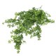 image 2 of Hanging UV and Fire Resistant Artificial Forest Foliage Plant 81cm