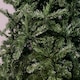 image 3 of 10ft (3m) Woodcote Spruce Artificial Christmas Tree