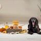 image 2 of Rewards Honey & Banana Dog Training Treats (8x90g)