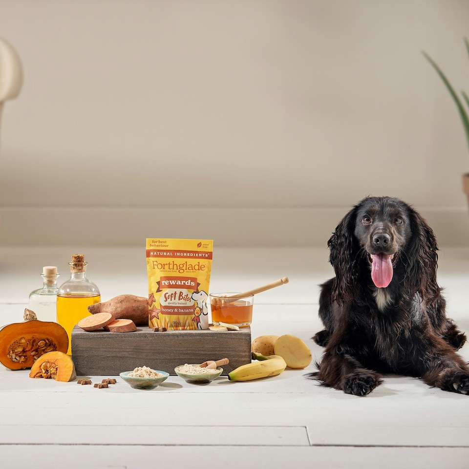 image 1 of Rewards Honey & Banana Dog Training Treats (8x90g)