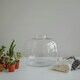 image 2 of Bowl Shape Terrarium DIY Kit Clear