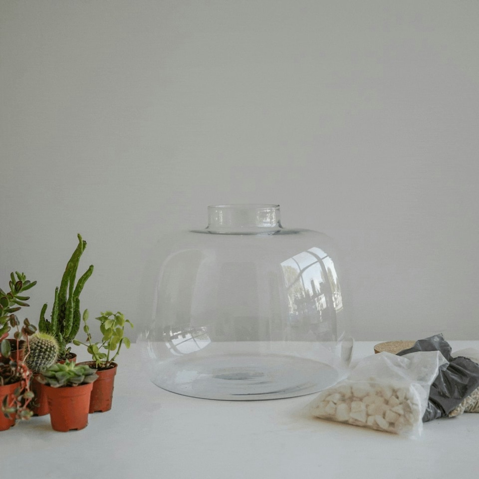 image 1 of Bowl Shape Terrarium DIY Kit Clear