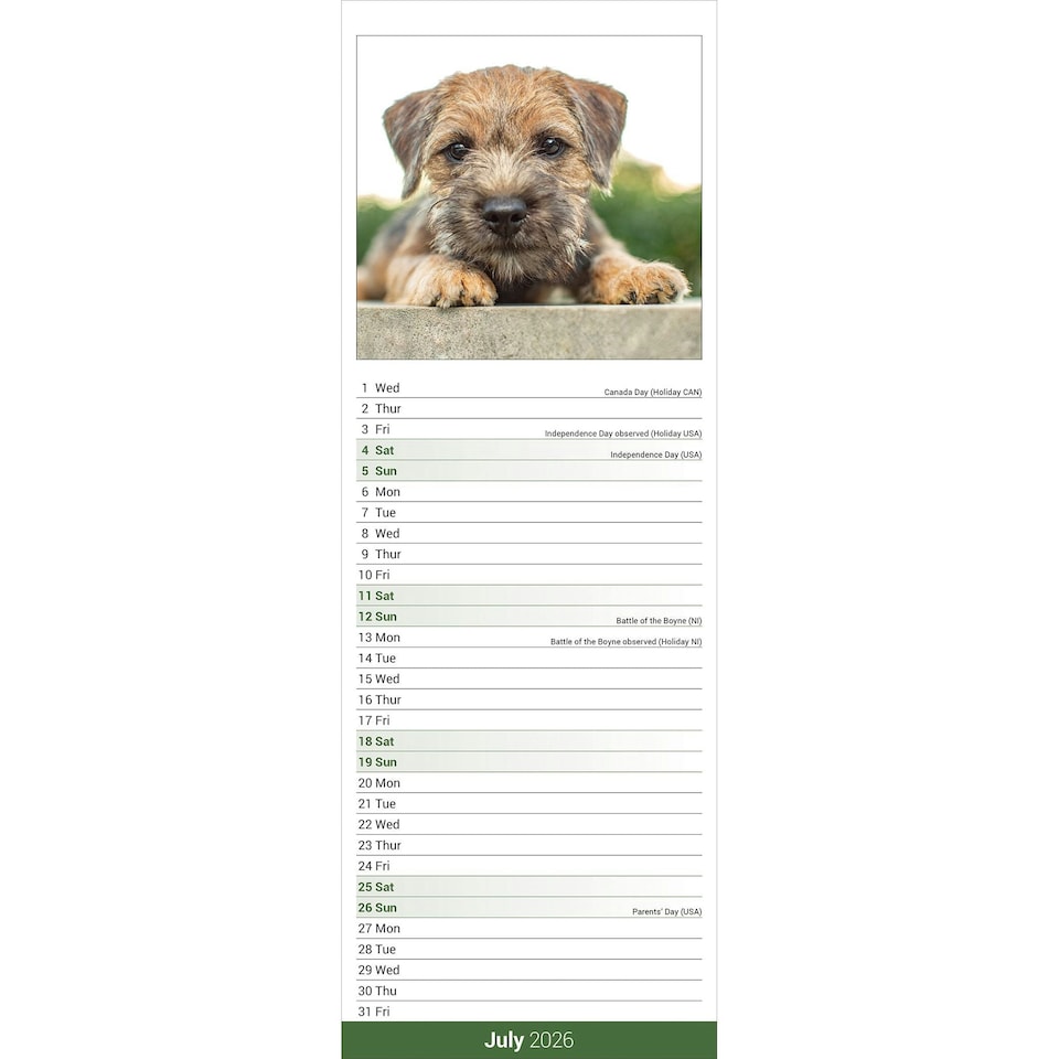 image 1 of Border Terrier Slim 2026 Calendar | Slimline Wall Calendar | Dog Breed Gift | Plastic Free Packaging | by Avonside Publishing [Calendar] Avonside Publishing Ltd