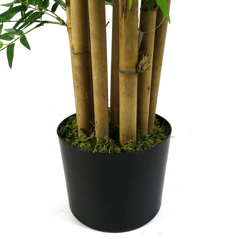 image 1 of Artificial Oriental Bamboo Plant 150cm - Realistic plant by Botanik Green | One Size