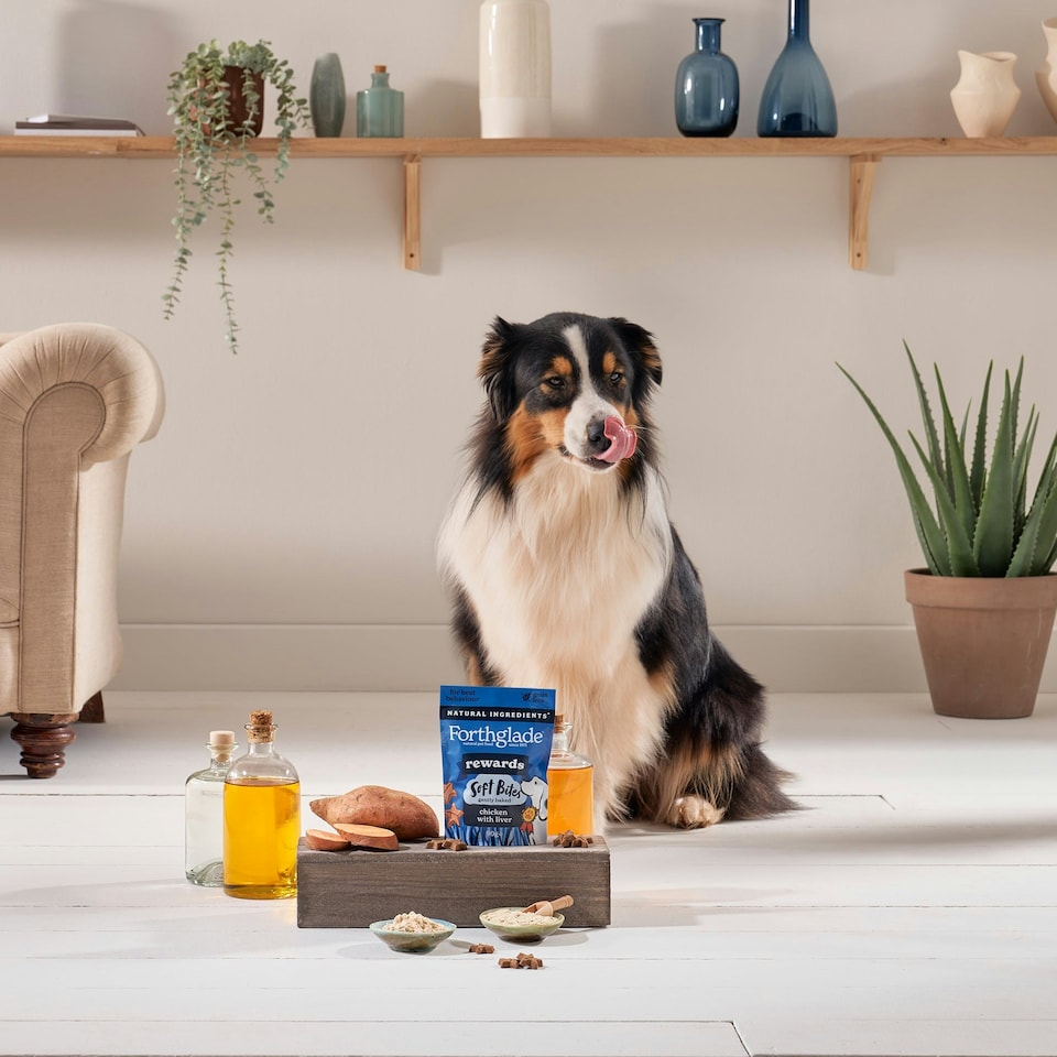 image 1 of Rewards Chicken & Liver Soft Bite Dog Training Treats (8x90g)