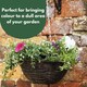 image 6 of Marco Paul Dark Brown Rattan Hanging Basket 12" Brown