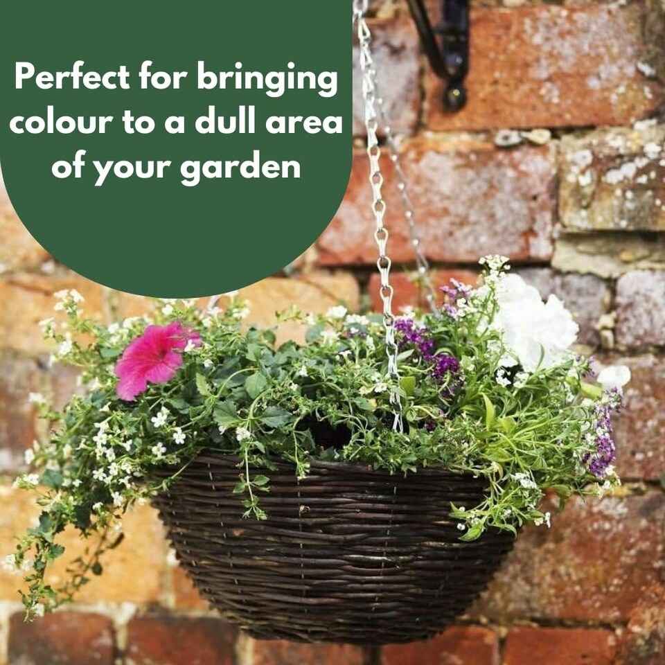 image 1 of Marco Paul Dark Brown Rattan Hanging Basket 12" Brown