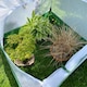 image 2 of GardenSkill Pop Up Insect Net Fruit Cage & Vegetable Protection Cover -  1 x 0.75m H