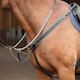 image 1 of Lusso 3 Point Elastic Breastplate Black | Size: Full
Colour: Black