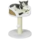 image 1 of PawHut Cat Tree with Scratching Post for Small Indoor Cats, White