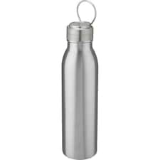 Harper Stainless Steel 700ml Water Bottle - Silver - One Size