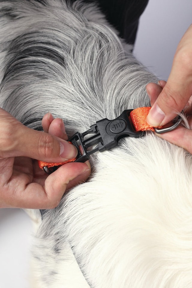 image 1 of M-PETS WILD Jungle Harness XS