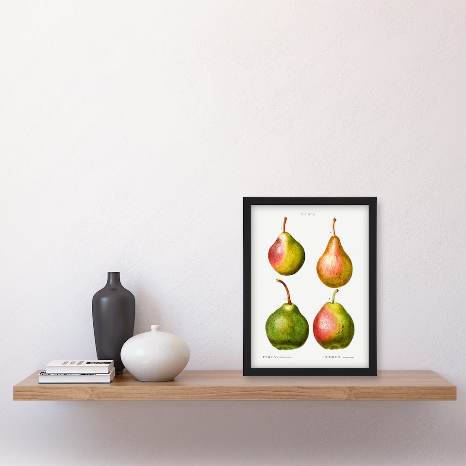 image 1 of Pierre J Redoute Framed Wall Art Pear Fruit Vintage Illustration Home Décor