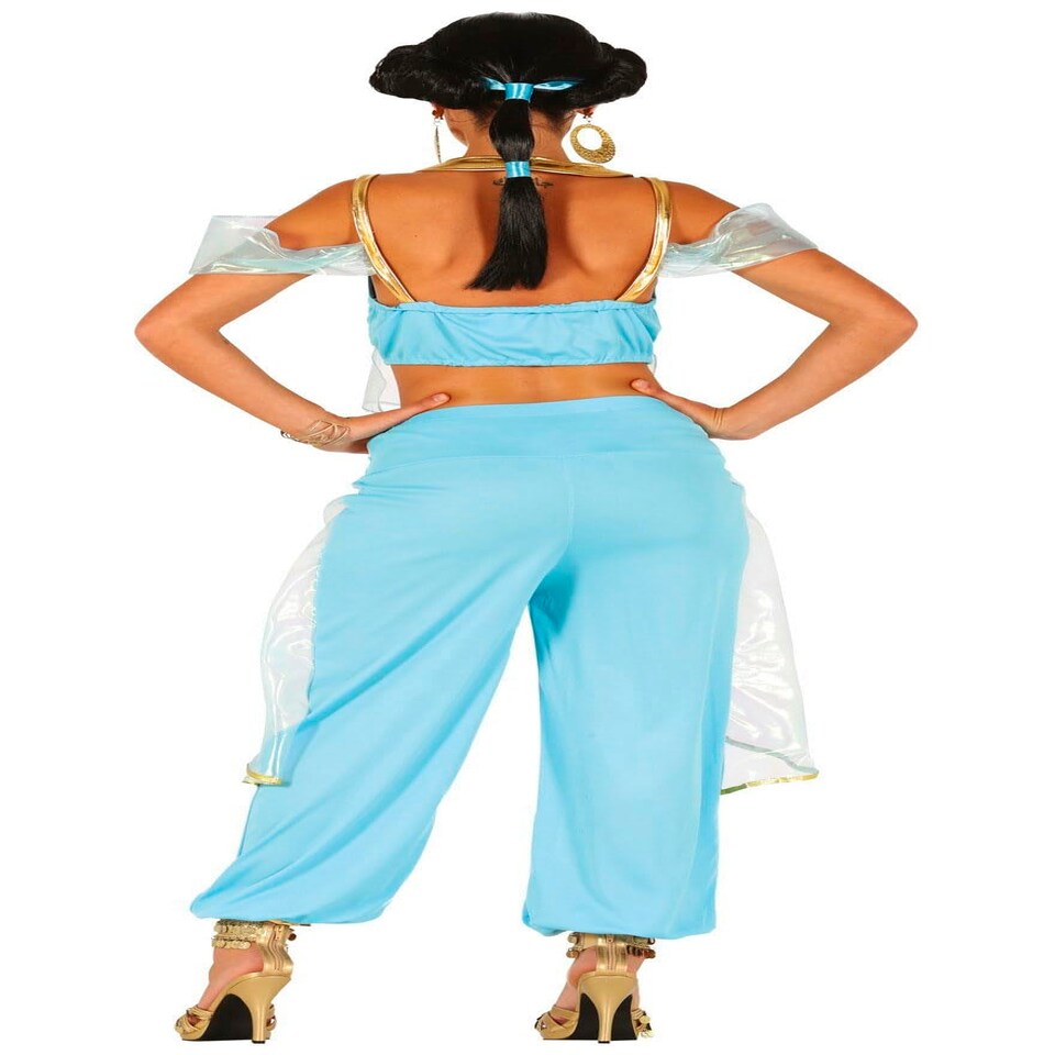 image 1 of Fancy Dress Adult Princess Of The Desert - S
