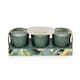 image 1 of Candlelight Set of 3 Mini Votive Candles Pear Tree & Bay Leaf | Green | One Size | 1