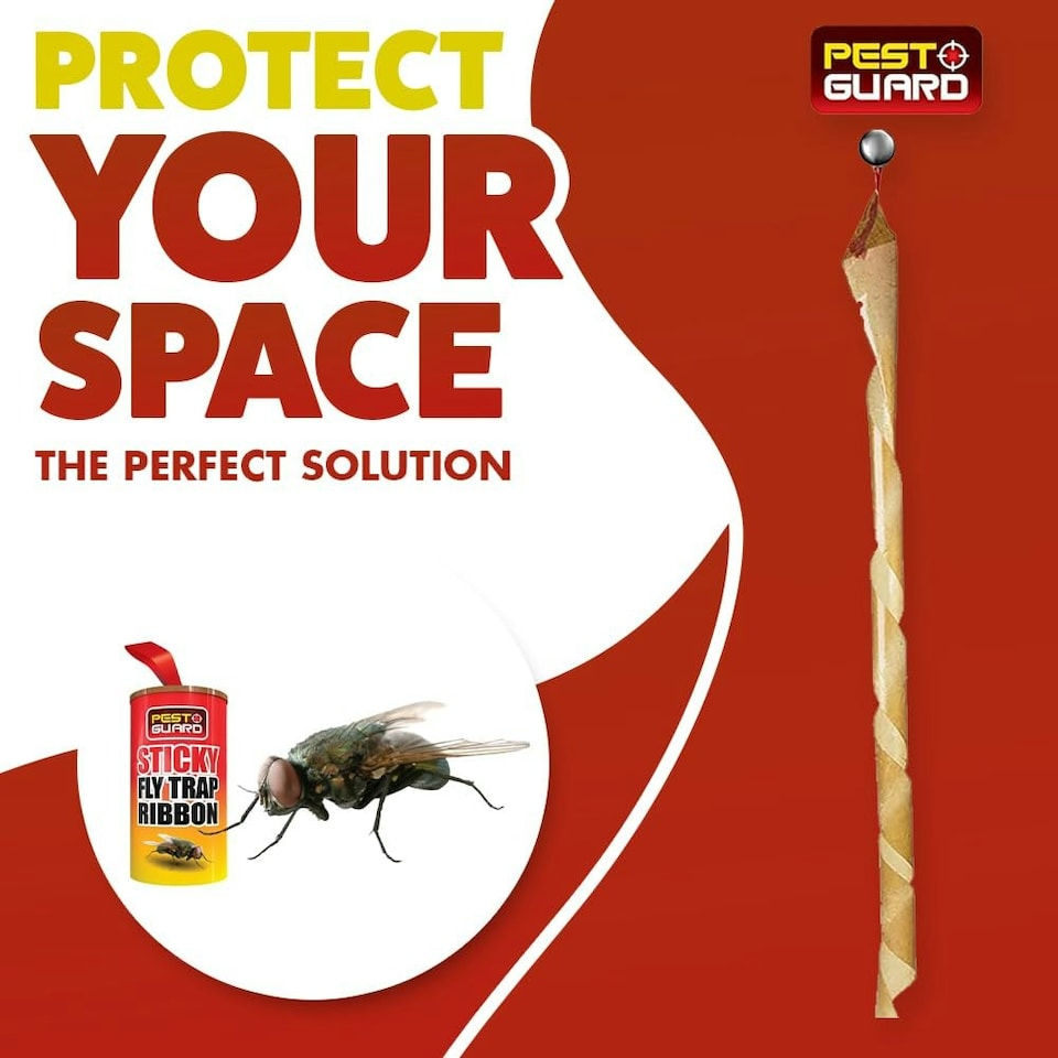 image 1 of Marco Paul 20 Pack of Sticky Fly Traps