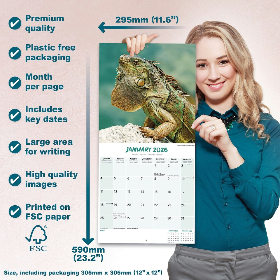 image 1 of Lizards 2026 Calendar | Square Wall Calendar | Reptile Gift | Plastic Free Packaging | by Avonside Publishing