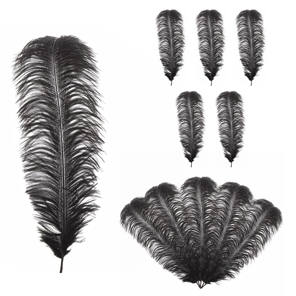 image 1 of 50cm - 60cm Large Ostrich Feathers, Showgirl Spadones - 5pcs