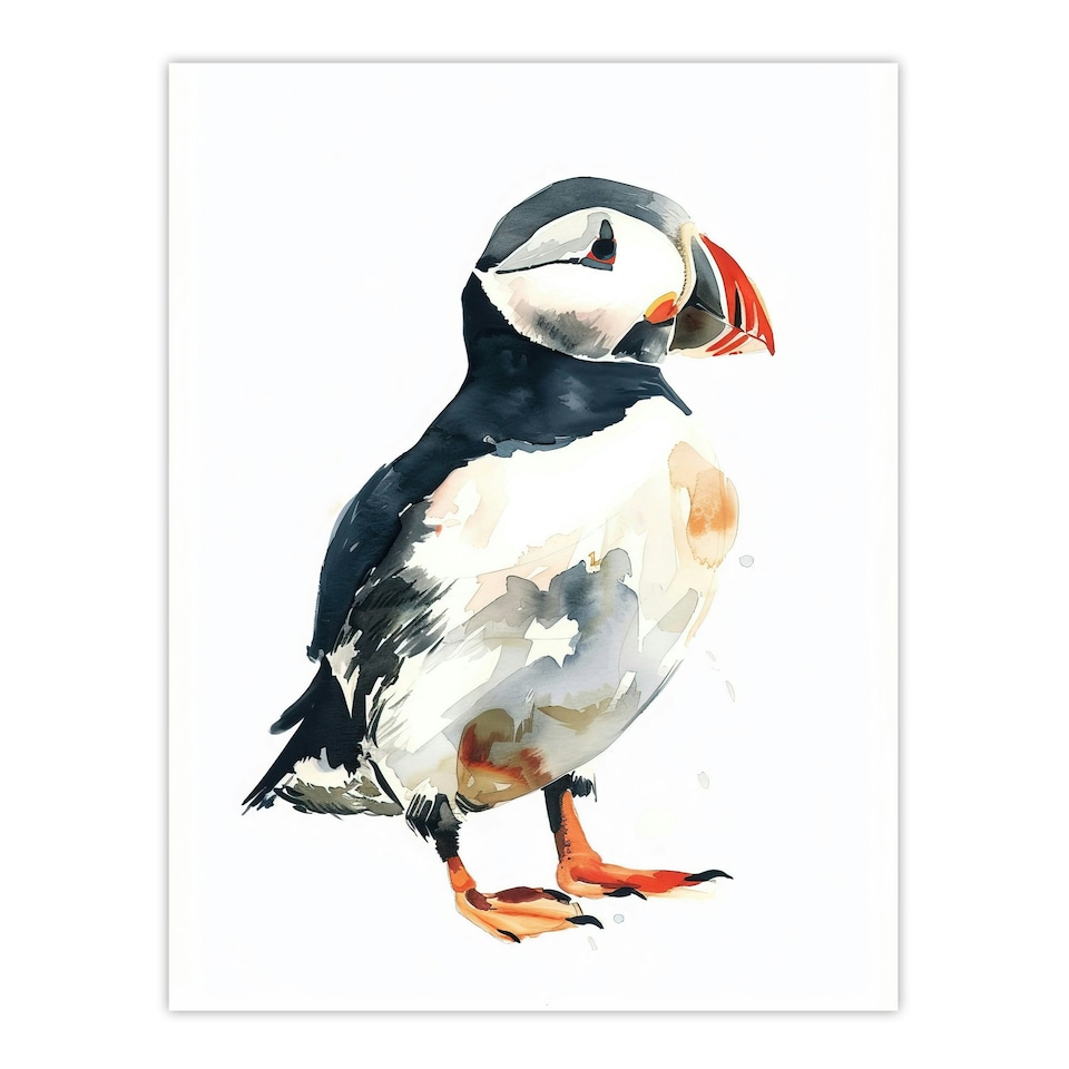 image 1 of Single Puffin Bird Watercolour Portrait Black Framed Wall Art Print A4