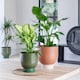 image 5 of Austin Dual Metal Planters (Set of 2) - Mild Steel - Rhubarb | Brown