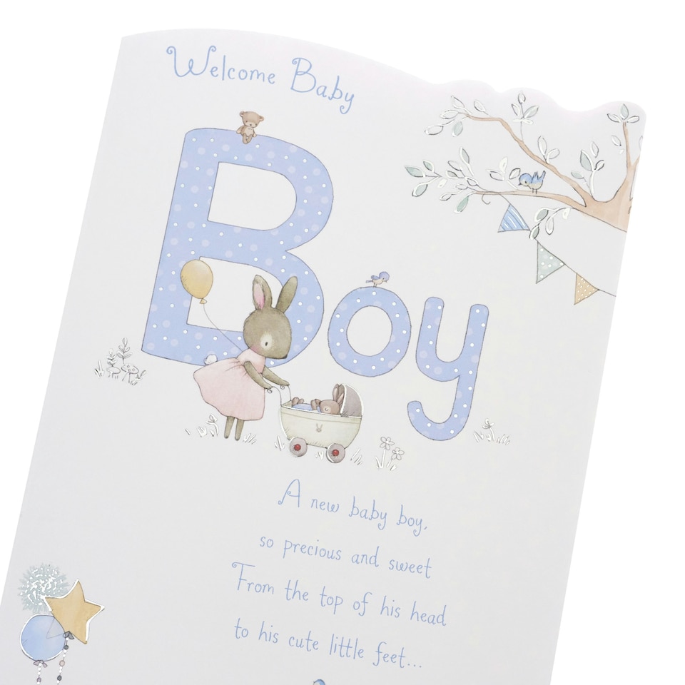 image 1 of Boy Birth Congratulations Card - Cute Animals