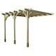image 1 of Wall Mounted Premium Pergola 3 Posts - Wood - L420 x W720 x H270 cm - Light Green