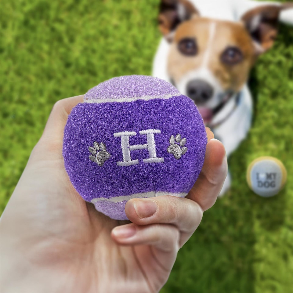 image 1 of Pre-Personalised Dog Ball Gift Pack 2pcs Purple H